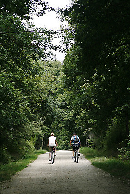 포토 JPG 해외이미지 여자 남자 스포츠 가족 자연 산 사랑 풍경 경사 성인 사람없음 야외 사이클링 산악자전거 해외202004 해외포토 감정 관계 사람 자전거 육상스포츠 생태계 파일형식 이미지허브
