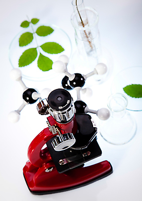 포토 JPG 해외이미지 식물 실내 현미경 실험 사람없음 액체 화학 실험실 플라스크 흰배경 비커 화학실험 해외202004 해외포토 과학 백그라운드 실험기구 내부 흰색 파일형식 이미지허브