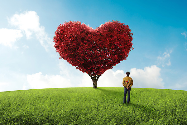 포토 JPG 해외이미지 나무 식물 컨셉 밭 자연 하늘 추상 풍경 사람없음 초록색 환경 하트 시골 속임수 심볼 언덕 도끼 나쁜 생태학 수평선 해외202004 해외포토 모양 교육 컬러 무늬 농업 생태계 파일형식 이미지허브