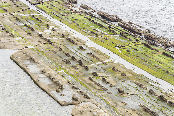 포토 JPG 해외이미지 선 파도 바다 여행 백그라운드 자연 벽지 이끼 풍경 사람없음 초록색 물 컬러풀 맑음 바위 행운 해조류 스페인 실크 부식 장면 목각 대서양 내추럴 스페인어 지질학 해외202004 해외포토 자연요소 교육 유럽 컬러 컨셉 날씨 돌_바위 직물 해양식물 생태계 파일형식 이미지허브