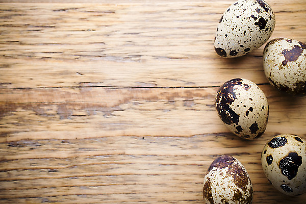 포토 JPG 해외이미지 동물 계절 음식 백그라운드 자연 부활절 사람없음 목재 장식 갈색 계란 봄 점 그룹 둥지 작음 먹기 심볼 오브젝트 유기농 날것 밀짚 메추리 해외202004 해외포토 나무 웰빙 기념일 컬러 재료 모션 알 짚 크기 생태계 파일형식 이미지허브