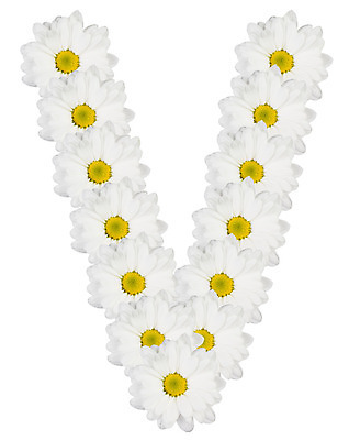 포토 JPG 해외이미지 식물 캐릭터 디자인 알파벳 꽃 꽃다발 백그라운드 꽃무늬 텍스트 자연 창조 사람없음 장식 여름 노란색 정원 맑음 봄 활발 벚꽃 흰색 신선 우아함 편지 심볼 데이지 냄새 타입 고립 스타일 해외202004 해외포토 영어 계절 컬러 컨셉 무늬 날씨 생태계 파일형식 이미지허브