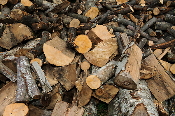 포토 JPG 해외이미지 나무 산업 백그라운드 겨울 패턴 자연 불 추상 사람없음 야외 목재 갈색 노란색 쌓기 환경 재활용 에너지 시골 뜨거움 원형 거친 숲 장작 자르기 배열 묘사 질감 날것 통나무 나무껍질 연료 잡동사니 흙더미 다리찢기 유지 내추럴 수목 화상 해외202004 해외포토 자연요소 도형 식물 계절 컬러 무늬 재료 모션 흙 껍질 상처 친환경 생태계 파일형식 더미 이미지허브