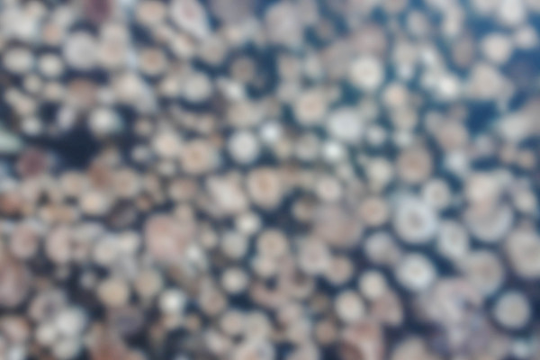 포토 JPG 해외이미지 나무 디자인 산업 벽 백그라운드 겨울 패턴 건축양식 자연 표면 주택 프레임 사람없음 야외 목재 장식 갈색 쌓기 환경 어둠 힘 골동품 시골 소나무 원형 거친 그룹 숲 작음 큼 장작 자르기 질감 복고 통나무 자원 잡동사니 흙더미 내추럴 그런지 방사형 수목 옛날 해외202004 해외포토 도형 식물 계절 건축 컬러 무늬 재료 모션 건물 흙 크기 생태계 파일형식 더미 이미지허브