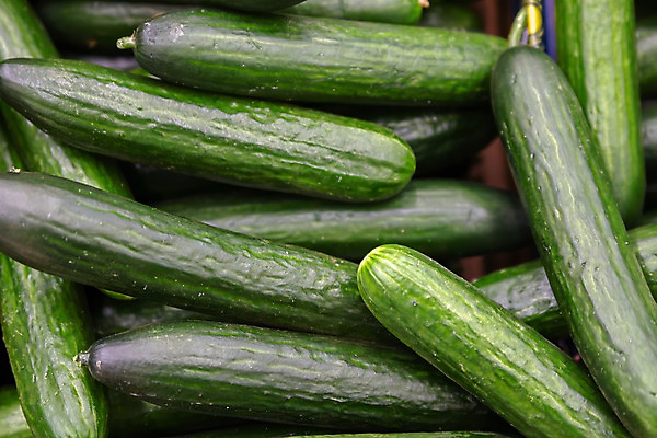 포토 JPG 해외이미지 식물 라이프스타일 잡화 음식 백그라운드 농업 다이어트 채소 과일 재료 자연 오이 건강 사람없음 가로 초록색 농작물 쇼핑 농장 상점 주방 샐러드 수확 신선 그룹 시장 닫기 농부 먹기 상쾌 유기농 날것 소매 슈퍼마켓 내추럴 숙성 온실 채식주의자 해외202004 해외포토 직업 웰빙 감정 산업 컬러 모션 생활 생태계 채식 파일형식 이미지허브