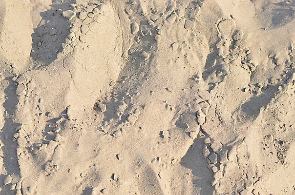 포토 JPG 해외이미지 모양 디자인 모래 파도 바다 여행 백그라운드 패턴 자연 벽지 표면 추상 휴가 건조 사람없음 여름 컬러풀 갈색 노란색 우주 사막 모래언덕 휴양지 질감 시멘트 내추럴 생태학 이국적 해외202004 해외포토 계절 교육 컬러 무늬 장소 언덕 생태계 파일형식 이미지허브