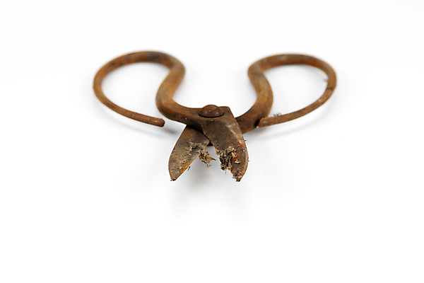 포토 JPG 해외이미지 백그라운드 사람없음 금속 장비 수확 골동품 흰색 기구 공구 쌍 칼날 큼 바느질 자르기 오브젝트 부식 복고 날카로움 재단 재단사 고립 그런지 옛날 중고 철강 해외202004 해외포토 직업 컬러 농업 모션 재질 도구 크기 파일형식 이미지허브