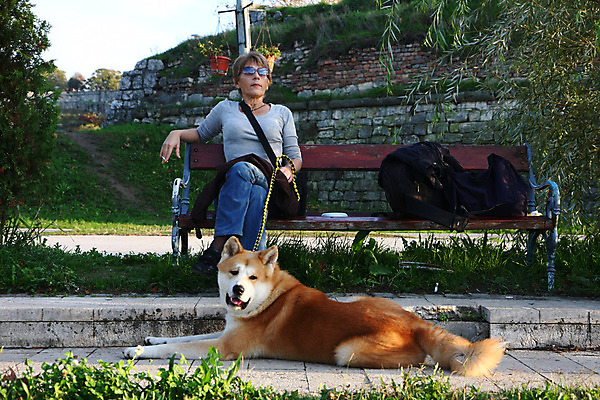 포토 JPG 해외이미지 동물 공원 자연 휴식 한명 반려동물 일본 힘 용기 자신감 개 강아지 큼 근육질 고체 지능 힘찬 해외202004 해외포토 1 그릇 공공시설 감정 아시아 컨셉 포유류 근육 사람 크기 몸매 생태계 파일형식 이미지허브