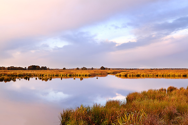 포토 JPG 해외이미지 식물 구름 호수 분홍색 여행 자연 하늘 표면 아침 풍경 사람없음 야외 물 파란색 반사 일출 시골 연못 속도 네덜란드 심플 평야 수평선 해외202004 해외포토 주간 자연요소 유럽 컬러 노을 생태계 파일형식 이미지허브