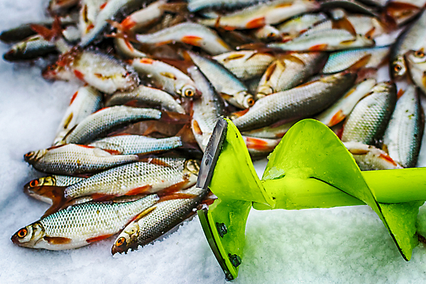 포토 JPG 해외이미지 손 옷 계절 호수 스포츠 이동 겨울 모션 자연 하늘 낚시 어류 풍경 취미 사람없음 야외 빨간색 물 강 태양 냉동 얼음 일몰 장비 추위 흰색 나사 연못 신선 업무 구멍 시원함 북극 질감 빙하 서리 낚시꾼 봉 북쪽 송곳 인내 해외202004 해외포토 자연요소 컬러 컨셉 레저 신체부위 노을 수중동물 공구 작업 극지방 방향 생태계 파일형식 이미지허브