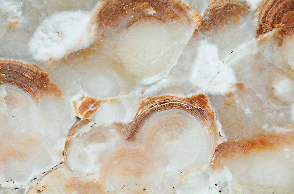 포토 JPG 해외이미지 벽 백그라운드 패턴 포장 자연 표면 추상 벽돌 주택 기술 사람없음 야외 갈색 노란색 힘 블록 흰색 시골 거친 매끈함 질감 정사각형 대리석 강화 엘리먼트 옛날 울퉁불퉁 화강암 스타일 해외202004 해외포토 도형 컬러 무늬 재료 건물 암석 감각 생태계 파일형식 이미지허브