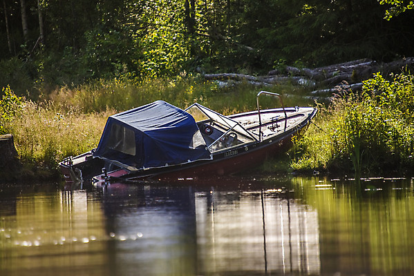 포토 JPG 해외이미지 나무 동물 구름 계절 호수 여행 자연 조류 하늘 산 노르웨이 풍경 사람없음 야외 목재 초록색 물 여름 파란색 강 컬러풀 햇빛 태양 반사 평화 환경 침묵 시골 숲 장면 내추럴 삼림지대 수평선 해외202004 해외포토 자연요소 식물 유럽 컬러 컨셉 재료 소리 생태계 파일형식 이미지허브