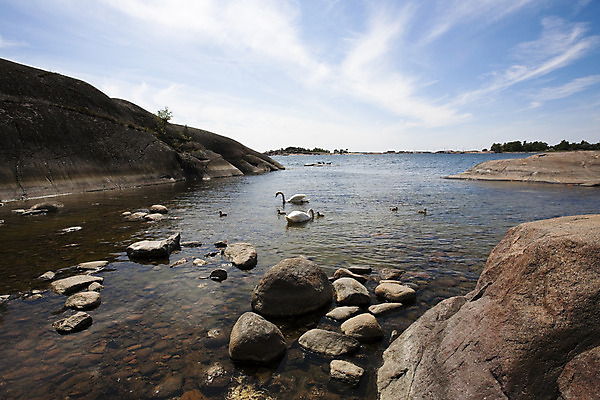 포토 JPG 해외이미지 동물 여자 남자 파도 바다 가족 자연 조류 엄마 풍경 해변 사람없음 물 여름 큼 백조 해외202004 해외포토 자연요소 계절 관계 사람 크기 생태계 파일형식 이미지허브