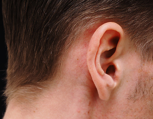 포토 JPG 해외이미지 모양 백인 남자 얼굴 신체 부분 해부 건강 사람 성인 사람없음 옆모습 머리 소리 듣기 닫기 피부 묘사 귀 목 내추럴 주목 해외202004 해외포토 서양인 뷰포인트 의학 모션 신체부위 파일형식 이미지허브