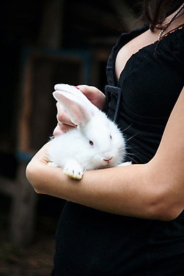 포토 JPG 해외이미지 백인 모델 1 드레스 옷 꽃 행복 앉기 여러명 사람없음 장식 가로 반려동물 금발 농장 노란색 마을 화환 우정 흰색 시골 토끼 건초더미 작음 먹기 밀짚 해외202004 해외포토 서양인 식물 동물 헤어스타일 감정 컬러 다수 농업 포유류 모션 사람 친구 건초 짚 크기 파일형식 더미 이미지허브