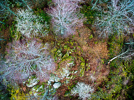 포토 JPG 해외이미지 나무 계절 자연 하늘 산 안테나 파노라마 그림자 풍경 사람없음 야외 목재 가로 세로 초록색 여름 빛 컬러풀 햇빛 태양 반사 평화 환경 침묵 일몰 봄 가을 시골 신선 숲 장면 내추럴 조감도 수평선 해외202004 해외포토 자연요소 식물 컬러 컨셉 재료 통신 촬영기법 노을 소리 생태계 파일형식 이미지허브