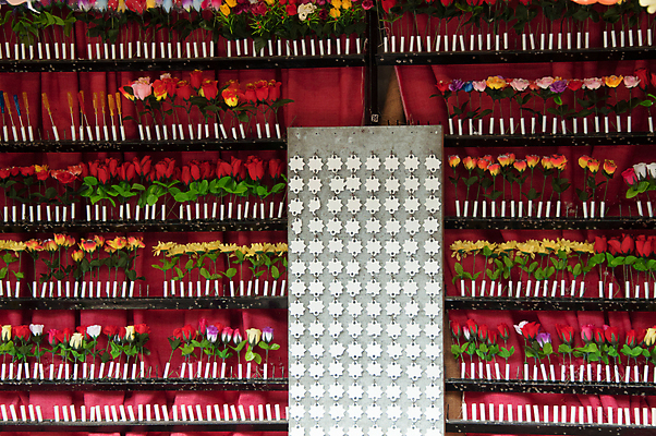 포토 JPG 해외이미지 전통 공원 무기 포즈 불 독일 성인 사람없음 축제 기쁨 총 센터 수비 목표 위험 가격 발사 싸움 조준 육군 공평 대회 때리기 뮌헨 옥토버페스트 바이에른 해외202004 해외포토 자연요소 공공시설 감정 유럽 컨셉 모션 군대 사람 파일형식 이미지허브