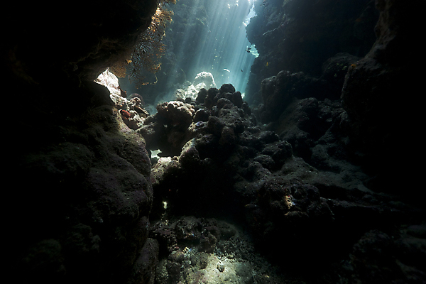 포토 JPG 해외이미지 식물 동물 모래 바다 백그라운드 자연 표면 어류 풍경 사람없음 물 파란색 컬러풀 햇빛 태양 바닷속 수중 광선 동굴 산호 아래 다이빙 장면 암초 깊이 소금물 이국적 침몰 파라다이스 해외202004 해외포토 자연요소 컬러 수영 수중동물 자포동물 방향 생태계 위치 수중스포츠 파일형식 이미지허브