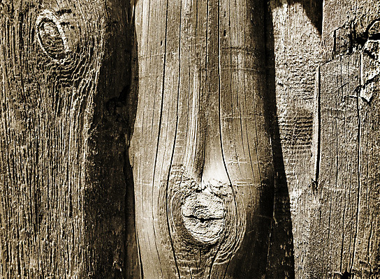 포토 JPG 해외이미지 나무 디자인 벽 백그라운드 패턴 자연 표면 날씨 추상 바닥 프레임 사람없음 목재 갈색 우주 어둠 줄무늬 골동품 시골 거친 널 낟알 가득함 질감 복고 매듭 결 내추럴 구식 세피아 옛날 줄서기 해외202004 해외포토 식물 컬러 무늬 재료 모션 촬영기법 생태계 파일형식 이미지허브