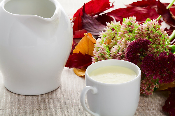 포토 JPG 해외이미지 계절 꽃 음료 음식 잎 농업 다이어트 자연 건강 사람없음 컵 여름 농장 식사 우유 추위 가을 흰색 시골 신선 항아리 아침식사 내추럴 목가 해외202004 해외포토 식물 식기 산업 컬러 유제품 도자기 생태계 파일형식 이미지허브