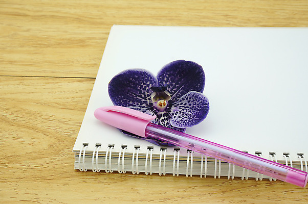 포토 JPG 해외이미지 학생 교육 종이 컨셉 비즈니스 학교 사람없음 책 펜 쪽지 공책 공백 덮개 흰색 책상 페이지 목차 해외202004 해외포토 컬러 가구 문구용품 필기구 뚜껑 파일형식 이미지허브