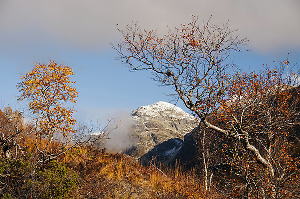 포토 JPG 해외이미지 나무 구름 잎 오렌지 자연 산 액자틀 풍경 사람없음 햇빛 태양 맑음 가을 시골 황금 정상 숲 자작나무 절정 해외202004 해외포토 자연요소 식물 계절 액자 과일 날씨 틀 생태계 파일형식 이미지허브