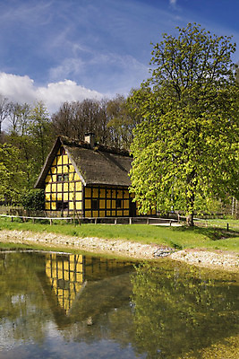 포토 JPG 해외이미지 나무 하늘 주택 사람없음 건물 물 반사 봄 연못 박물관 천연기념물 옛날 해외202004 해외포토 자연요소 식물 건축물 계절 파일형식 이미지허브