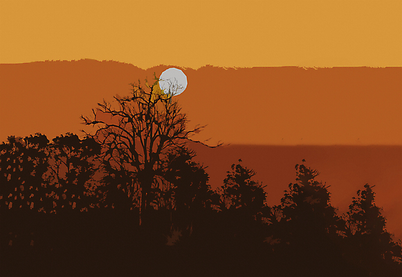 포토 JPG 해외이미지 나무 실루엣 벽 백그라운드 오렌지 추상 그림자 미술 풍경 사람없음 태양 갈색 노란색 우주 일출 일몰 새벽 공백 그늘 질감 시멘트 지역 사암 파스텔톤 해외202004 해외포토 자연요소 식물 컬러 무늬 과일 문화예술 촬영기법 노을 돌_바위 파일형식 이미지허브