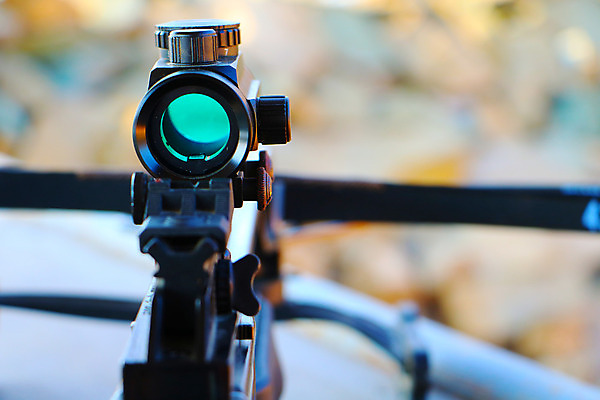 포토 JPG 해외이미지 1 손 남자 무기 스포츠 밭 자연 화살 기술 서기 사람 취미 사람없음 야외 햇빛 경쟁 도전 잡기 목표 소프트포커스 숲 발사 라이벌 연습 활 시력 양궁 조준 사냥꾼 추적 궁수 블러 제어 해외202004 해외포토 직업 컨셉 농업 모션 촬영기법 신체부위 태양 생태계 파일형식 이미지허브