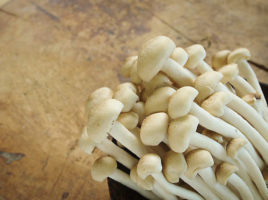 포토 JPG 해외이미지 식물 음식 백그라운드 채소 자연 건강 요리 사람없음 갈색 버섯 흰색 신선 내추럴 곰팡이 단백질 식용 채식주의자 해외202004 해외포토 컬러 생태계 채식 영양소 파일형식 이미지허브