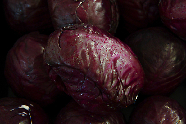 포토 JPG 해외이미지 음식 백그라운드 채소 재료 건강 사람없음 가로 빨간색 보라색 신선 고명 먹기 유기농 양배추 날것 채식주의자 해외202004 해외포토 웰빙 컬러 모션 채식 파일형식 이미지허브