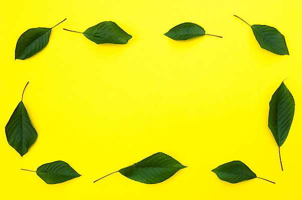 포토 JPG 해외이미지 디자인 계절 백그라운드 잎 패턴 과일 추상 프레임 건강 사람없음 빨간색 초록색 여름 세트 컬러풀 노란색 신선 체리 설정 내추럴 숙성 해외202004 해외포토 식물 컬러 무늬 파일형식 이미지허브