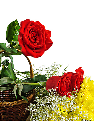 포토 JPG 해외이미지 식물 디자인 꽃잎 꽃 줄기 꽃다발 백그라운드 잎 꽃무늬 패턴 자연 프레임 선물 사랑 이벤트 사람없음 장식 빨간색 초록색 장미 노란색 머리 우주 활발 축하 화려 그룹 선택 자르기 다발 배열 가득함 심볼 오브젝트 싱글 슛 접수 해외202004 해외포토 감정 컬러 컨셉 무늬 모션 신체부위 생태계 파일형식 이미지허브