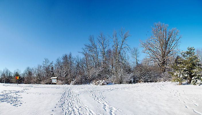 포토 JPG 해외이미지 나무 계절 공원 백그라운드 겨울 자연 파노라마 풍경 사람없음 야외 목재 빛 환경 맑음 추위 흰색 나뭇가지 숲 서리 장면 눈내림 해외202004 해외포토 식물 공공시설 컬러 재료 날씨 눈_날씨 촬영기법 생태계 파일형식 이미지허브