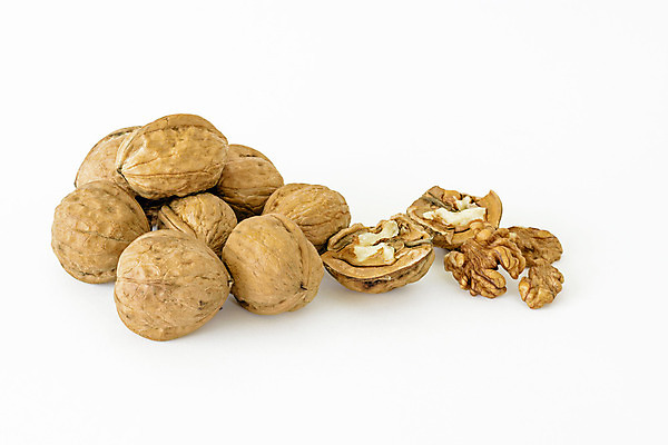 포토 JPG 해외이미지 음식 재료 건조 건강 사람없음 갈색 견과류 껍질 신선 오픈 그룹 흰배경 질감 알맹이 날것 호두 내추럴 깨짐 식용 채식주의자 해외202004 해외포토 컬러 백그라운드 컨셉 흰색 채식 파일형식 이미지허브
