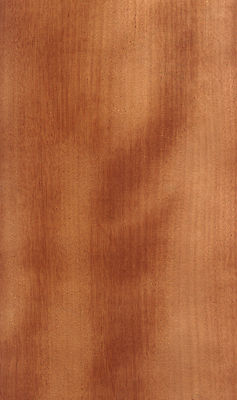 포토 JPG 해외이미지 나무 디자인 백그라운드 패턴 자연 표면 바닥 사람없음 목재 갈색 판넬 널 낟알 묘사 질감 옛날 해외202004 해외포토 식물 컬러 무늬 재료 생태계 파일형식 이미지허브