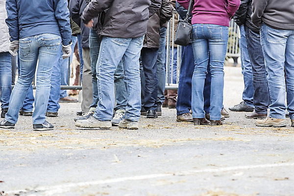 포토 JPG 해외이미지 이동 농업 사람없음 금융 우유 프랑스 분노 고속도로 소 농부 상품 잼 2015년 트랙터 1월 반항 2016년 노르망디 위기 정책 주장 항의 헬프 파리(프랑스) 해외202004 해외포토 직업 감정 유럽 산업 도로 컨셉 포유류 모션 유제품 경제 도움 날짜 소스_음식 농기계 연도 특수차량 파일형식 이미지허브