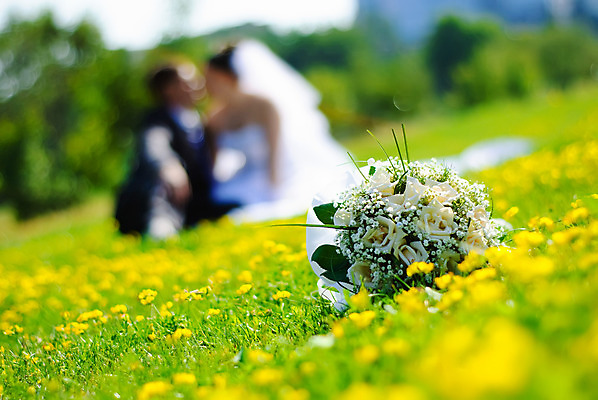 포토 JPG 해외이미지 커플 드레스 여자 남자 꽃 꽃다발 결혼 2 가족 신혼부부 자연 남편 사랑 사람 사람없음 야외 장식 초록색 장미 노란색 흰색 축하 아내 가운 소프트포커스 해외202004 해외포토 식물 부부 옷 감정 컬러 컨셉 관계 촬영기법 이벤트 생태계 신혼 파일형식 이미지허브