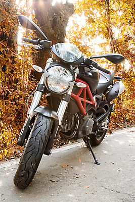 포토 JPG 해외이미지 디자인 도로 스포츠 잎 사람없음 빨간색 빛 자전거 검은색 이탈리아 운전 오토바이 심볼 속도 모터 공격적 몬스터 해외202004 해외포토 식물 유럽 길 컬러 컨셉 교통시설 모션 바이크 파일형식 이미지허브