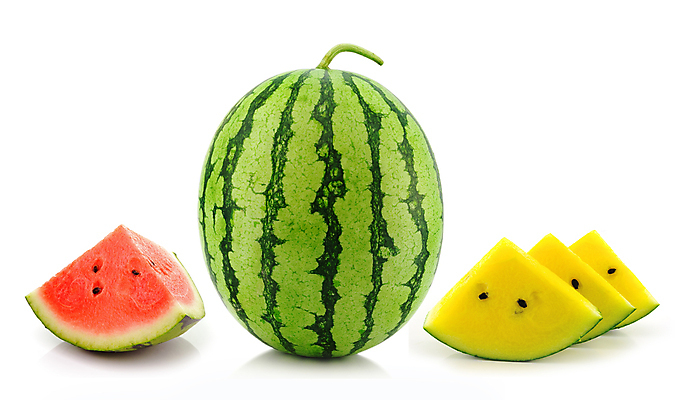 포토 JPG 해외이미지 조각 과일 수박 사람없음 빨간색 초록색 노란색 껍질 신선 원형 달콤 수박조각 블랙망고수박 해외202004 해외포토 도형 컬러 맛 파일형식 이미지허브