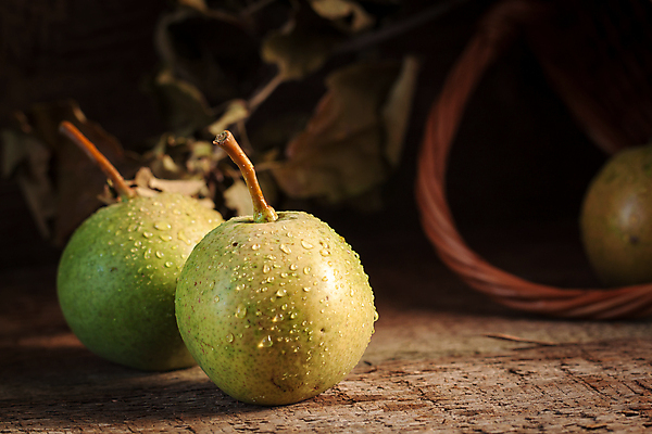 포토 JPG 해외이미지 계절 백그라운드 컨셉 잎 다이어트 과일 자연 탁자 주택 건강 사람없음 목재 초록색 여름 빛 컬러풀 햇빛 태양 갈색 바구니 마을 정원 침묵 황혼 일몰 새벽 성장 가을 나뭇가지 시골 신선 쌍 그룹 맛 저녁 먹기 오브젝트 내추럴 구성 숙성 스타일 해외202004 해외포토 자연요소 나무 식물 컬러 가구 재료 모션 건물 노을 소리 야간 생태계 파일형식 이미지허브