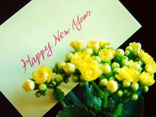 포토 JPG 해외이미지 디자인 계절 기념일 꽃 행복 리본 종이 분홍색 백그라운드 겨울 휴가 새로움 새해 프레임 선물 미술 이벤트 사람없음 장식 초록색 파란색 상자 노란색 라벨 놀람 기쁨 흰색 축하 인사 신용카드 메시지 달콤 연도 엽서 초대 해외202004 해외포토 식물 감정 컬러 컨셉 문화예술 표정 금융 예절 맛 편지 파일형식 이미지허브