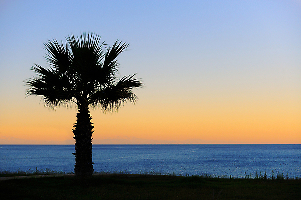 포토 JPG 해외이미지 나무 외관 계절 실루엣 바다 섬 여행 백그라운드 오렌지 자연 하늘 날씨 추상 휴가 휴식 따뜻함 손바닥 풍경 사람없음 야외 빨간색 여름 파란색 빛 컬러풀 햇빛 태양 노란색 평화 일출 맑음 황혼 일몰 황금 저녁 지중해 이국적 파라다이스 수평선 해외202004 해외포토 자연요소 식물 손 컬러 컨셉 무늬 과일 촬영기법 노을 야간 생태계 파일형식 이미지허브