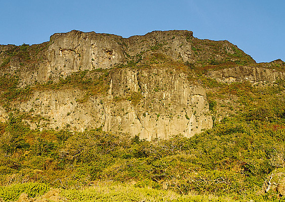 포토 JPG 해외이미지 나무 식물 구름 계절 공원 도로 길 여행 백그라운드 밭 오렌지 자연 하늘 날씨 풍경 잔디 사람없음 야외 초록색 여름 빛 햇빛 태양 농장 노란색 평화 일출 환경 정원 맑음 일몰 흙 봄 안개 광선 흰색 시골 신선 떨어짐 숲 땅 언덕 장면 넘어짐 땅바닥 방법 생태학 수평선 해외202004 해외포토 자연요소 공공시설 교육 컬러 컨셉 농업 과일 교통시설 모션 바닥 노을 생태계 파일형식 이미지허브