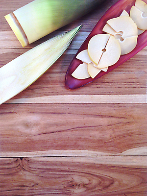 포토 JPG 해외이미지 조각 단면 실내 사람없음 하이앵글 죽순 카피스페이스 나무배경 해외202004 해외포토 뷰포인트 백그라운드 내부 공백 파일형식 이미지허브