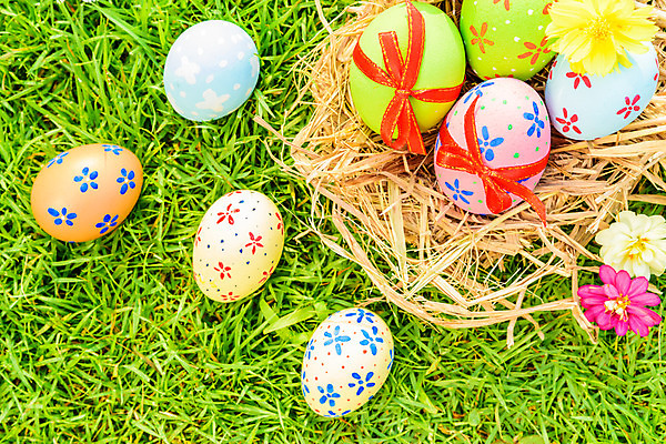 포토 JPG 해외이미지 전통 디자인 계절 꽃 행복 종교 음식 백그라운드 컨셉 자연 하늘 휴가 부활절 사람없음 야외 장식 초록색 파란색 컬러풀 노란색 바구니 우주 계란 축제 봄 흰색 축하 그리기 그룹 닫기 4월 심볼 사냥 줄서기 해외202004 해외포토 식물 기념일 감정 컬러 모션 알 날짜 생태계 파일형식 이미지허브