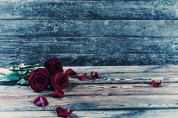 포토 JPG 해외이미지 디자인 꽃잎 꽃 분홍색 꽃다발 결혼 백그라운드 컨셉 잎 꽃무늬 자연 벽지 탁자 엄마 휴가 기념 아이디어 발렌타인데이 선물 사랑 사람없음 목재 빨간색 여름 장미 봄 수확 벚꽃 흰색 시골 신선 오픈 질감 아로마 부드러움 옛날 해외202004 해외포토 나무 식물 계절 감정 컬러 가구 무늬 농업 재료 가족 데이이벤트 이벤트 감각 생태계 파일형식 이미지허브