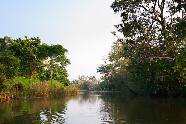 포토 JPG 해외이미지 나무 식물 호수 잎 자연 그림자 동양인 풍경 사람없음 목재 가로 초록색 물 여름 파란색 빛 강 햇빛 반사 환경 침묵 봄 습기 촉촉함 나뭇가지 시골 수수께끼 숲 신비 상록수 마법 내추럴 삼림지대 환상 해외202004 해외포토 자연요소 계절 컬러 컨셉 재료 인종 태양 소리 젖음 생태계 파일형식 이미지허브