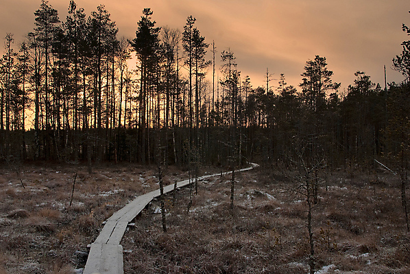 포토 JPG 해외이미지 길 자국 사람없음 하이킹 오솔길 해외202004 해외포토 레저 파일형식 이미지허브