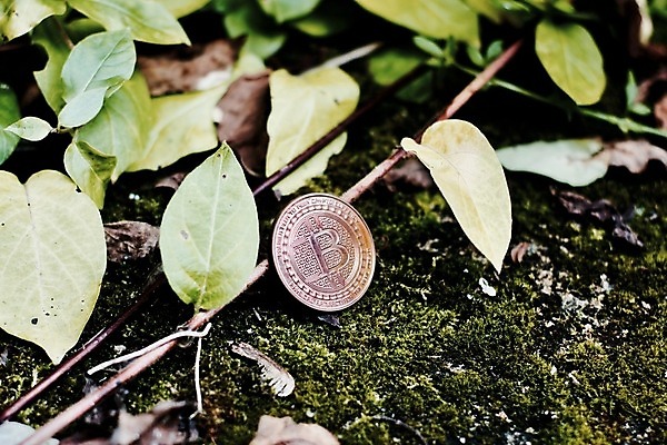 포토 JPG 해외이미지 돈 자연 사람없음 야외 초록색 금융 동전 무역 투자 가치 놋쇠 해외202004 해외포토 산업 컬러 비즈니스 경제 재산 생태계 파일형식 이미지허브